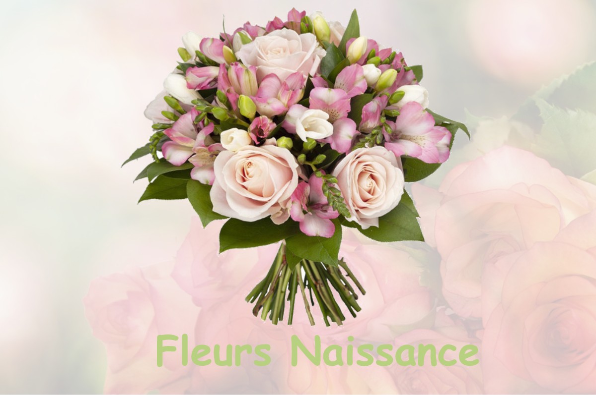 fleurs naissance SOUPROSSE