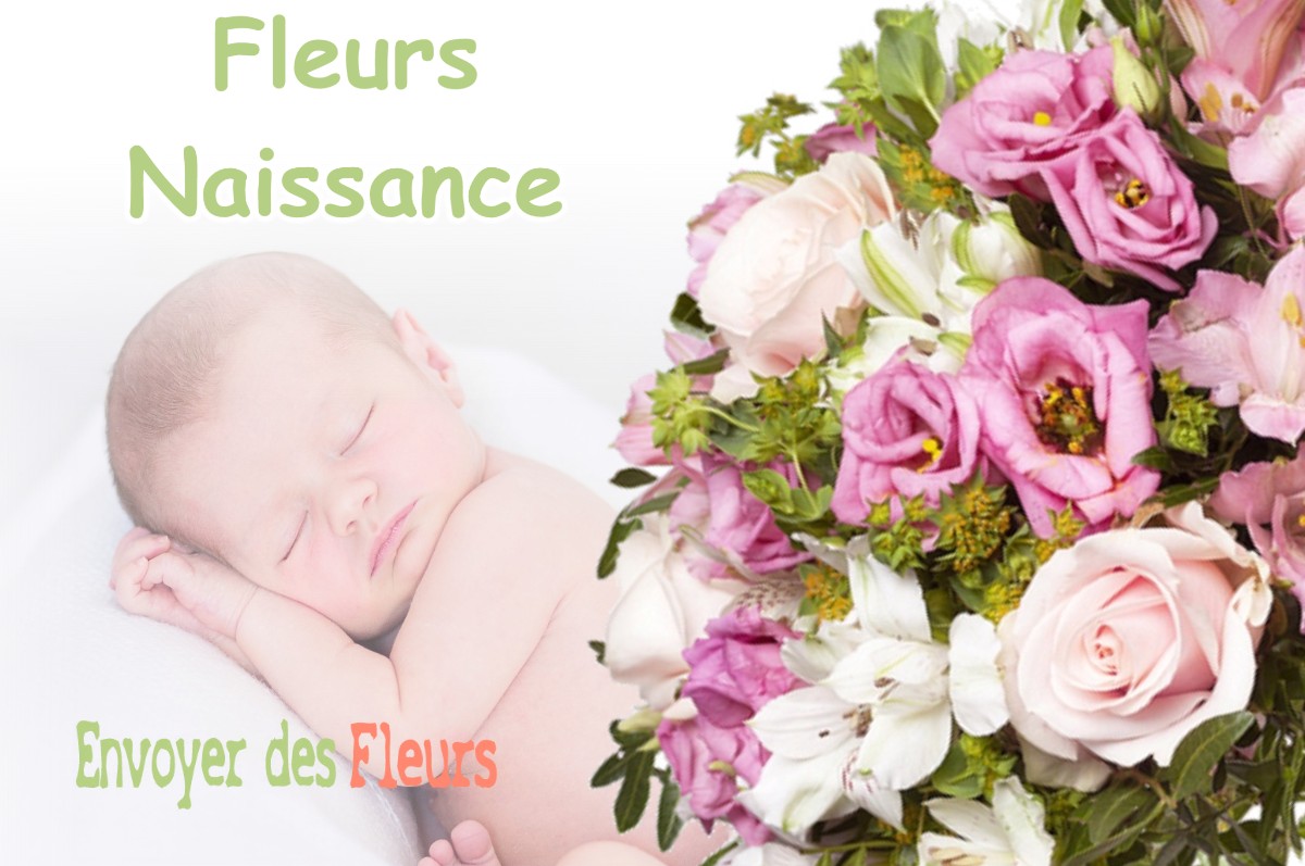 lIVRAISON FLEURS NAISSANCE à SOUPROSSE